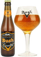 Craft beer Bush Amber 12 Caractere