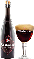 Craft beer Westmalle Trappist Dubbel