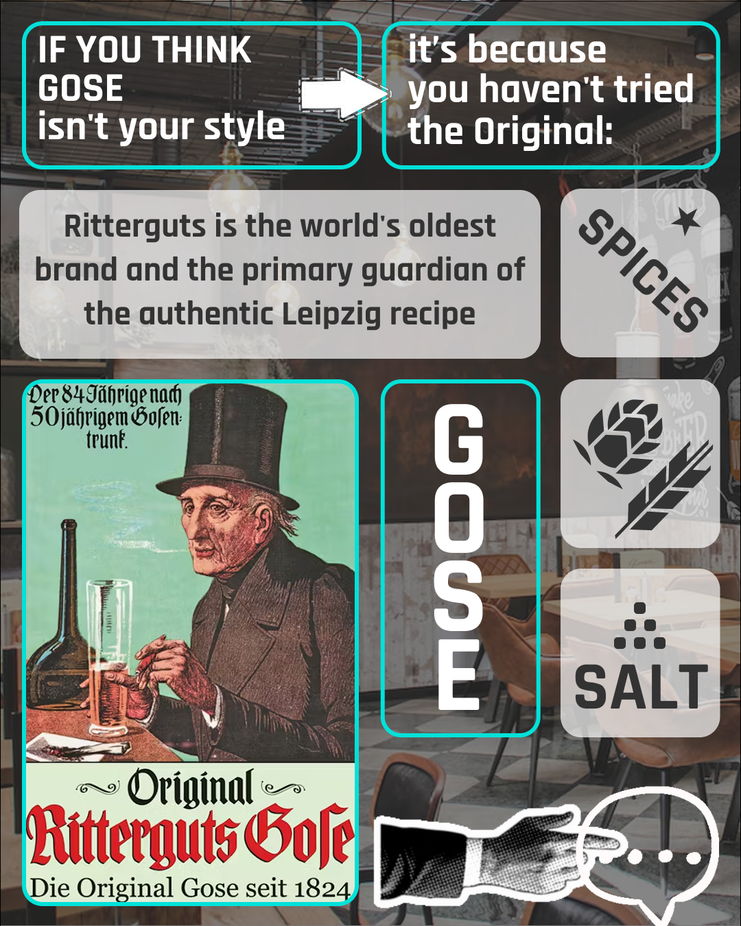 Ritterguts Gose beer infographic